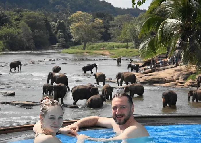 Hotel Elephant Bay - World'S Best Place To See The Elephants